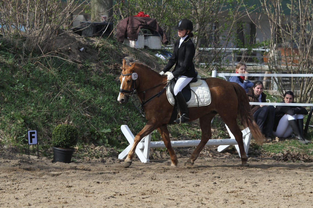 Bild 1153 - WBO-Turnier am 9.4.11